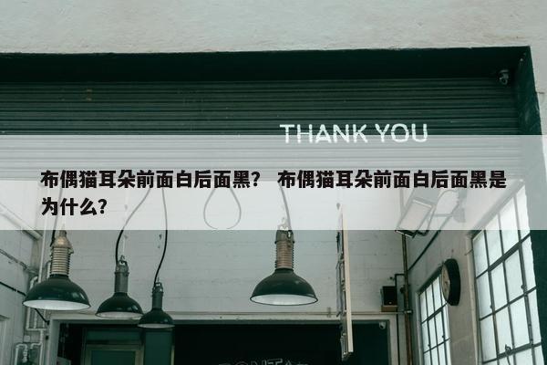 布偶猫耳朵前面白后面黑？ 布偶猫耳朵前面白后面黑是为什么？