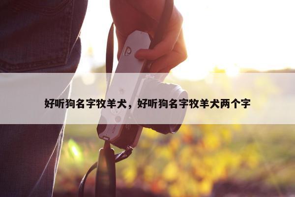 好听狗名字牧羊犬，好听狗名字牧羊犬两个字