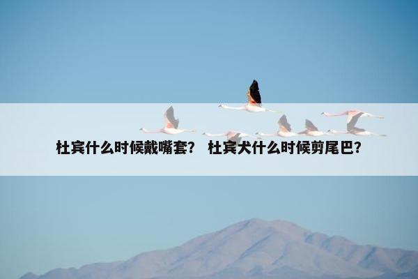 杜宾什么时候戴嘴套？ 杜宾犬什么时候剪尾巴？
