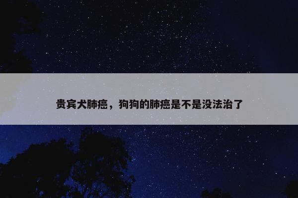 贵宾犬肺癌，狗狗的肺癌是不是没法治了
