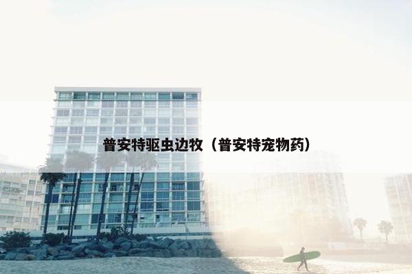 普安特驱虫边牧（普安特宠物药）