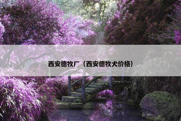 西安德牧厂（西安德牧犬价格）