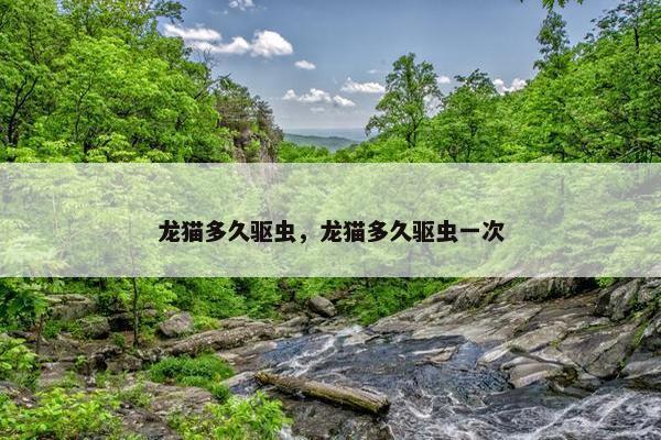 龙猫多久驱虫，龙猫多久驱虫一次
