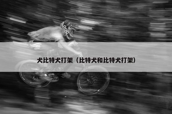 犬比特犬打架（比特犬和比特犬打架）