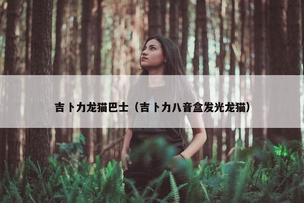 吉卜力龙猫巴士（吉卜力八音盒发光龙猫）