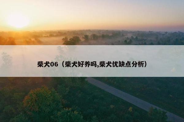 柴犬06（柴犬好养吗,柴犬优缺点分析）