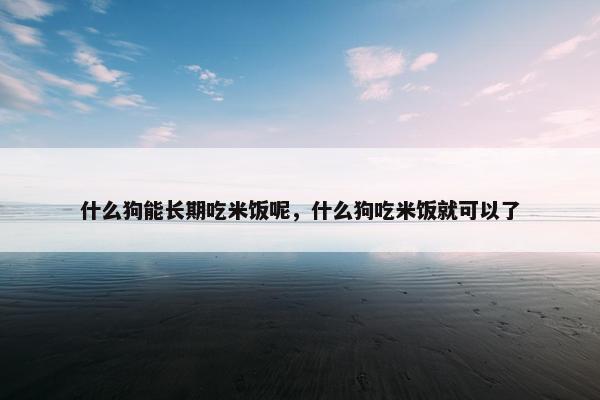 什么狗能长期吃米饭呢，什么狗吃米饭就可以了