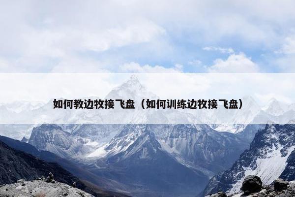 如何教边牧接飞盘（如何训练边牧接飞盘）