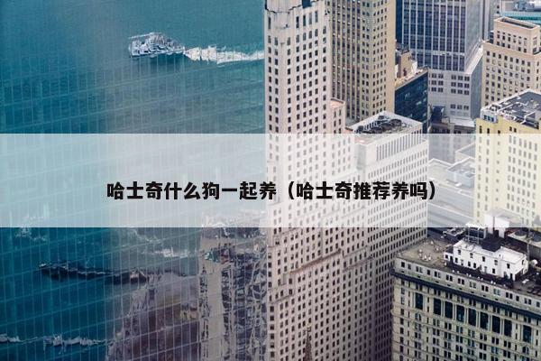 哈士奇什么狗一起养（哈士奇推荐养吗）