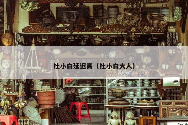 杜小白延迟高（杜小白大人）