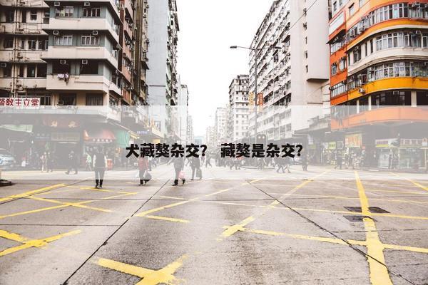 犬藏獒杂交？ 藏獒是杂交？