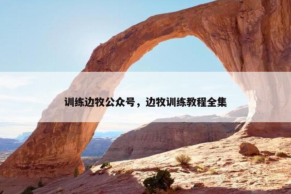 训练边牧公众号，边牧训练教程全集