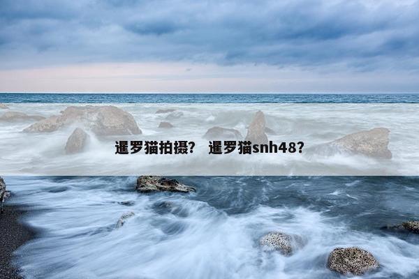暹罗猫拍摄？ 暹罗猫snh48？