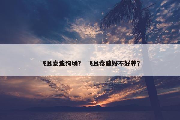 飞耳泰迪狗场？ 飞耳泰迪好不好养？