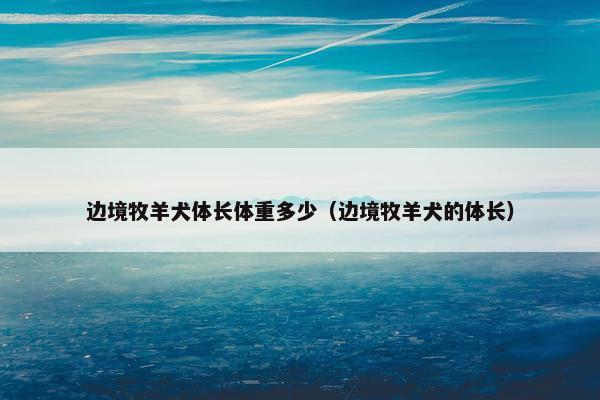 边境牧羊犬体长体重多少（边境牧羊犬的体长）