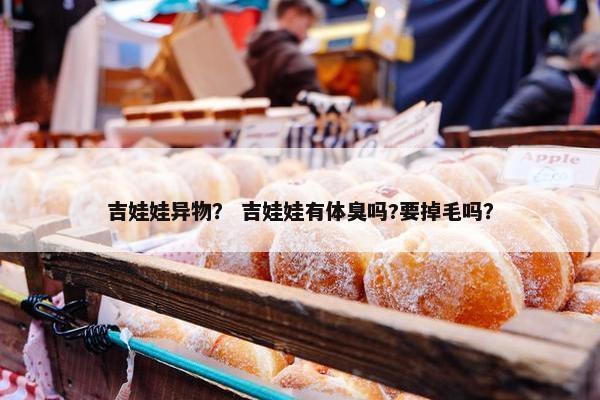 吉娃娃异物？ 吉娃娃有体臭吗?要掉毛吗？