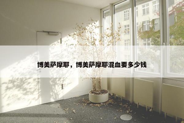 博美萨摩耶，博美萨摩耶混血要多少钱