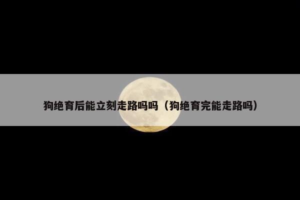 狗绝育后能立刻走路吗吗（狗绝育完能走路吗）