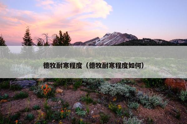德牧耐寒程度（德牧耐寒程度如何）
