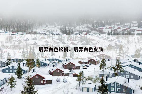 后羿白色松狮，后羿白色皮肤