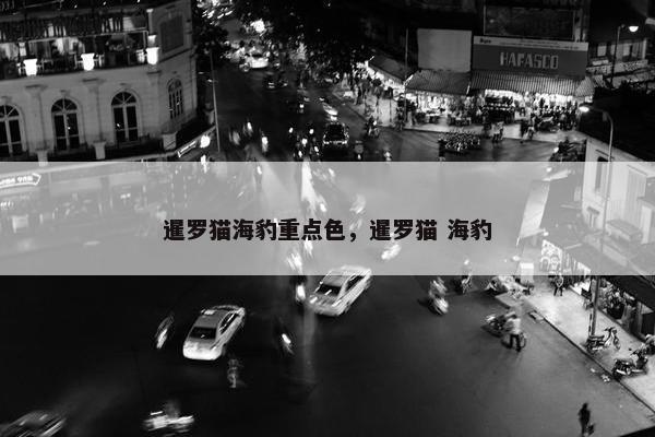 暹罗猫海豹重点色，暹罗猫 海豹