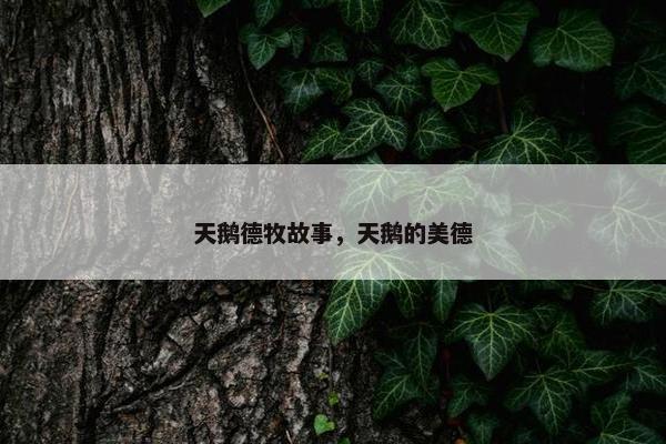 天鹅德牧故事，天鹅的美德
