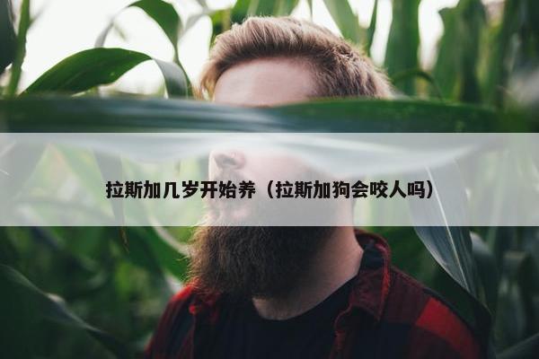 拉斯加几岁开始养（拉斯加狗会咬人吗）