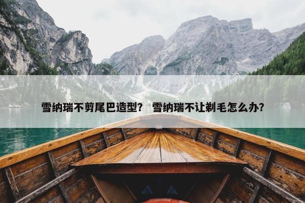 雪纳瑞不剪尾巴造型？ 雪纳瑞不让剃毛怎么办？