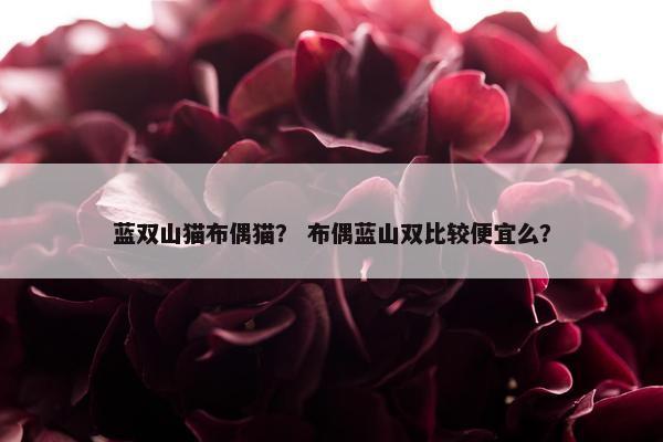 蓝双山猫布偶猫？ 布偶蓝山双比较便宜么？
