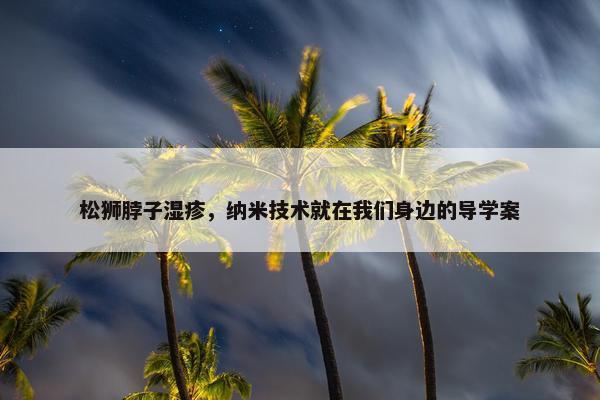 松狮脖子湿疹，纳米技术就在我们身边的导学案