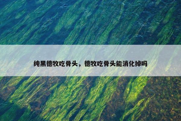 纯黑德牧吃骨头，德牧吃骨头能消化掉吗