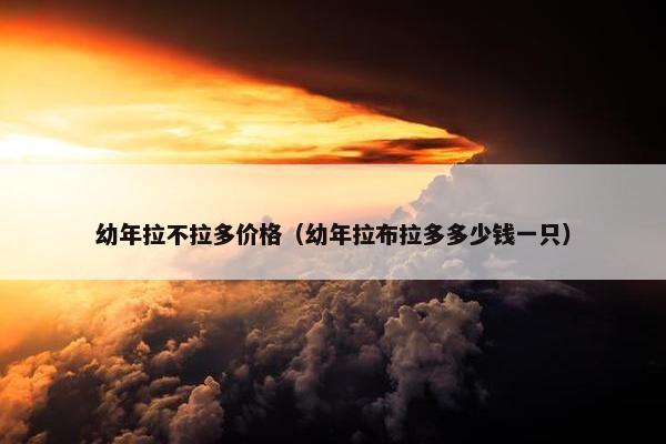 幼年拉不拉多价格（幼年拉布拉多多少钱一只）