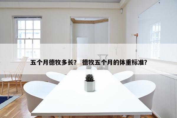 五个月德牧多长？ 德牧五个月的体重标准？