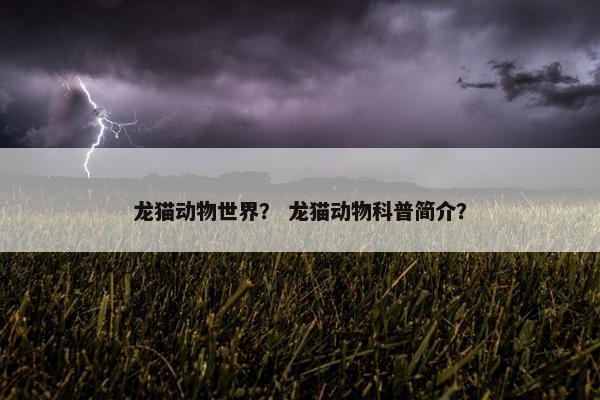 龙猫动物世界？ 龙猫动物科普简介？