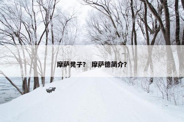 摩萨凳子？ 摩萨德简介？