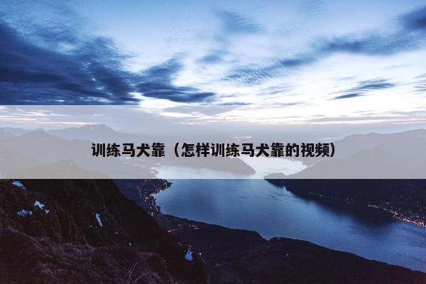 训练马犬靠（怎样训练马犬靠的视频）