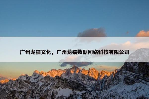 广州龙猫文化，广州龙猫数据网络科技有限公司