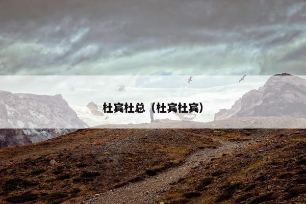 杜宾杜总（杜宾杜宾）