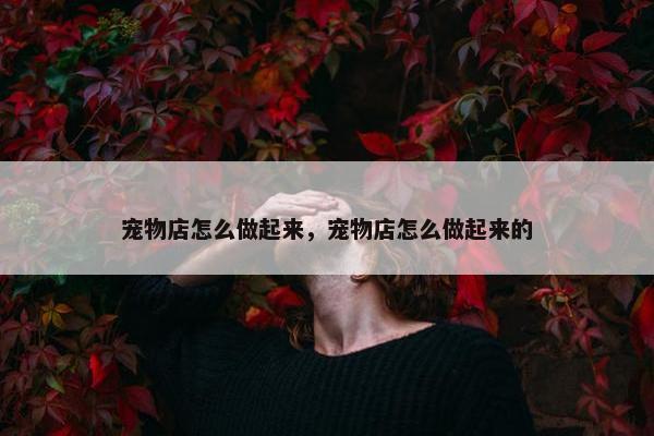 宠物店怎么做起来，宠物店怎么做起来的