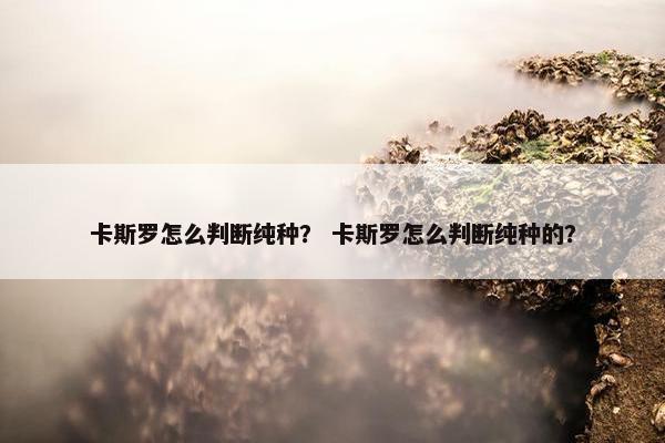 卡斯罗怎么判断纯种？ 卡斯罗怎么判断纯种的？