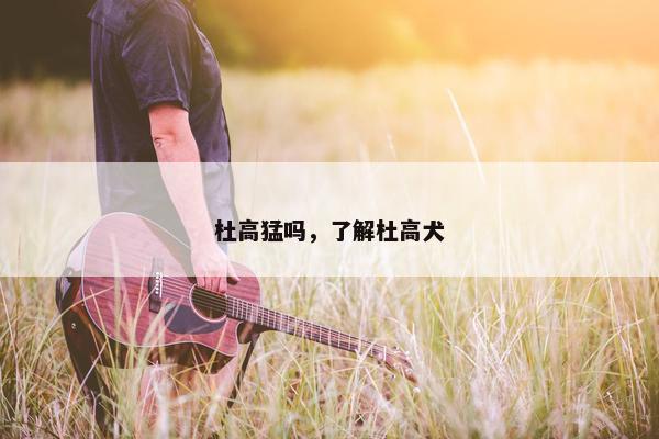 杜高猛吗，了解杜高犬