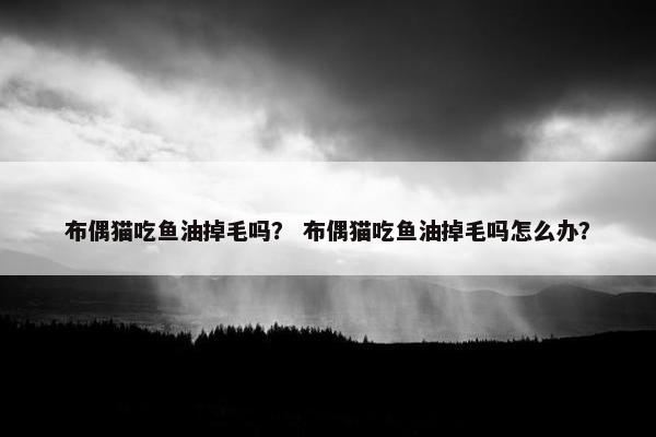 布偶猫吃鱼油掉毛吗？ 布偶猫吃鱼油掉毛吗怎么办？