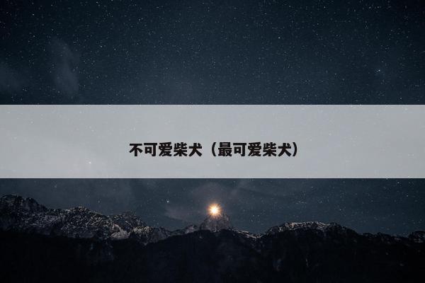 不可爱柴犬（最可爱柴犬）