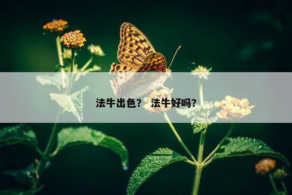 法牛出色？ 法牛好吗？