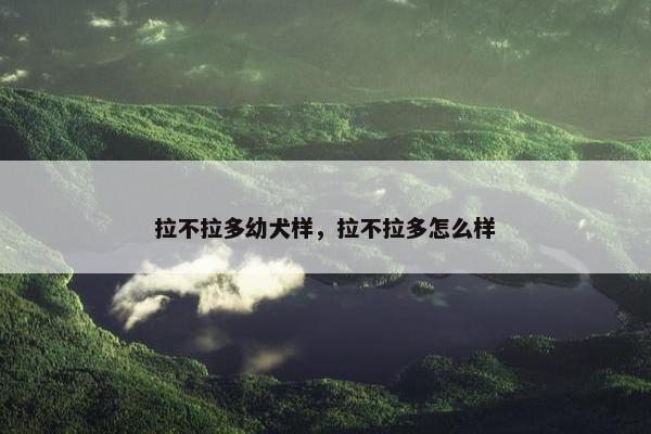 拉不拉多幼犬样，拉不拉多怎么样