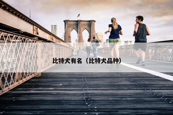 比特犬有名（比特犬品种）