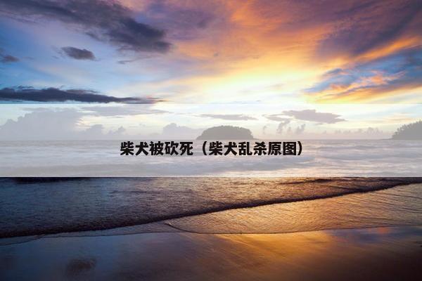 柴犬被砍死（柴犬乱杀原图）