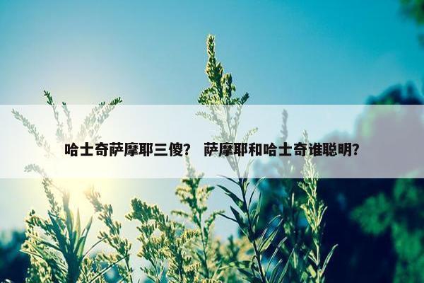 哈士奇萨摩耶三傻？ 萨摩耶和哈士奇谁聪明？