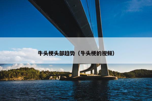 牛头梗头部趋势（牛头梗的视频）