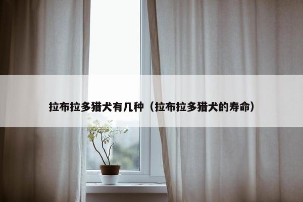 拉布拉多猎犬有几种（拉布拉多猎犬的寿命）